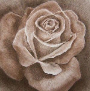 Meet your Posher, Hala